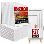 20 Pack Canvases for Painting with 8x10, Painting Canvas for Oil & Acrylic Paint.