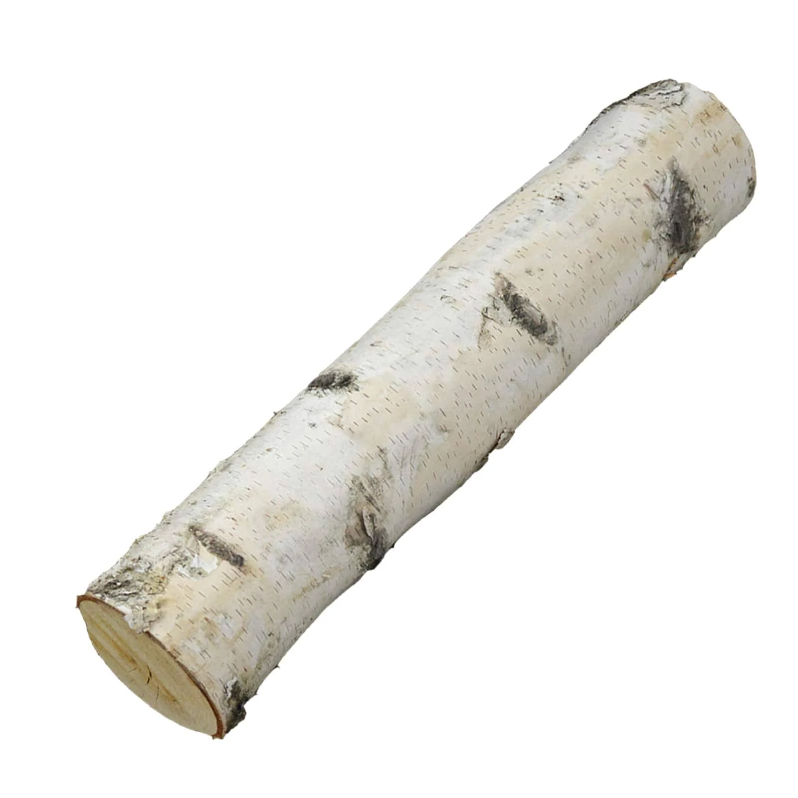 Wilson White Birch Fireplace XL Long Log, 23-24" L x 5-6" D (1 Log)