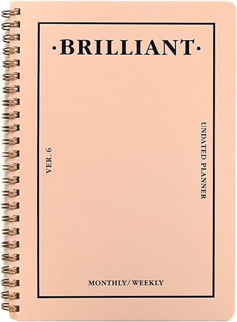 PAPERIAN Brilliant Monthly & Weekly Planner - Wirebound Undated Monthly &Weekly Planner Book Scheduler Diary (Grey Sky)