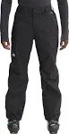 The North Face Men's Freedom Pant