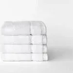 Premium Plush Washcloths