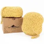 myHomeBody Bath Sponge, Foam Loofah Sponge, Body Sponge for Shower – Large Size, Lots of Lather, Curvy, 2 Pack