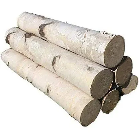 White Birch Log Set for Fireplace