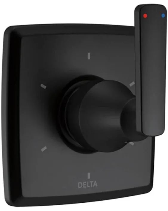 Delta T11964-SS Ashlyn Stainless 6 Setting Diverter Trim