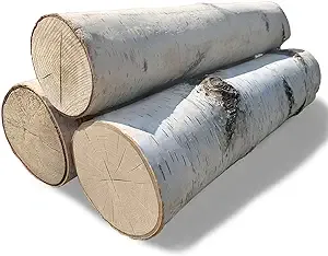 Wilson Enterprises Large White Birch Logs (Set of 3)