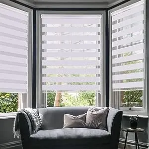 LUCKUP Horizontal Window Shade Blinds Zebra Roller Shades Day Night Blinds Curtains Light Adjustment for Office, Home, Easy Installation 29.5" x 59" Black