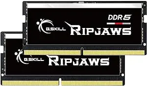 G.SKILL Ripjaws SO-DIMM 64GB (2 x 32GB) 262-Pin DDR5 SO-DIMM DDR5 5600 (PC5 44800) Laptop Memory Model F5-5600S4040A32GX2-RS