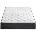 Comfort Essential Pocket Spring Hybrid Mattress | Zinus Queen / 10"