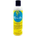 Curls Blueberry & Coconut Hair Milk - 8oz