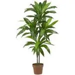 Nearly Natural Dracaena Silk Plant