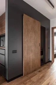 Milcasa Magic 2 Wall Mount Concealed Sliding System for Wood Doors