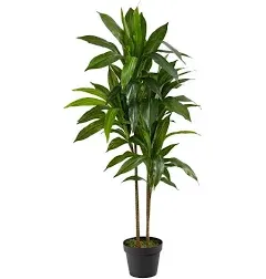 Nearly Natural Dracaena Silk Plant