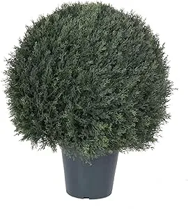 Vickerman 20" UV Pond Cypress Ball in Pot