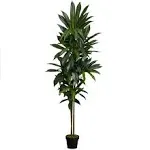 Nearly Natural Dracaena Silk Plant