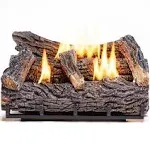 Duluth Forge 22" Ventless 32,000 BTU Natural Gas Fireplace Log Set, Winter Oak