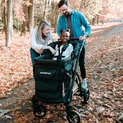 Wonderfold M1 Single Stroller