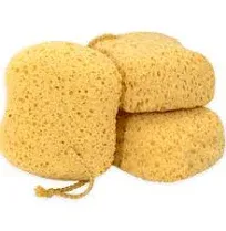 myHomeBody Bath Sponge, Foam Loofah Sponge, Body Sponge for Shower - Large Size, Lots of Lather, Square, 3 Pack