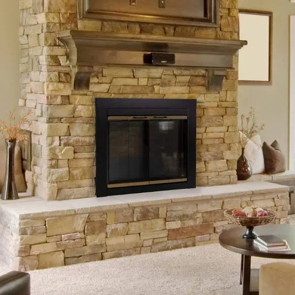 Pleasant Hearth Arrington Large Glass Fireplace Door