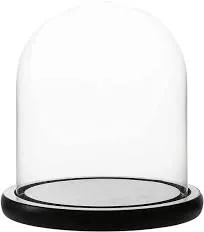 WHOLE HOUSEWARES Decorative Clear Glass Dome Cloche