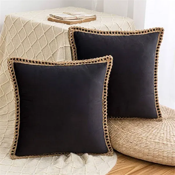 AQOTHES Set of 2 Velvet Decorative Throw Pillow Covers