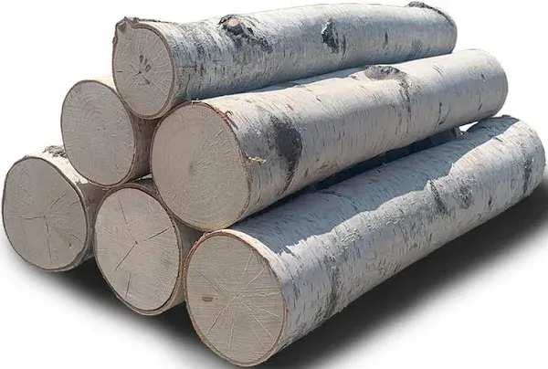 Wilson White Birch Logs