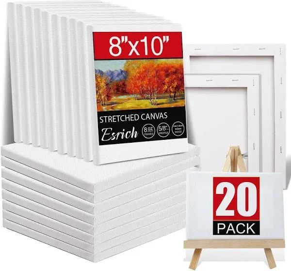 ESRICH 20 Pack Canvases for Painting with 8x10