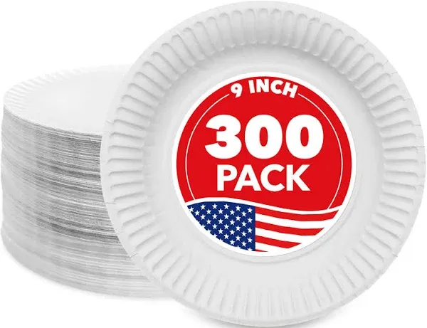 Stock Your Home 9-Inch Paper Plates Uncoated, Everyday Disposable Plates 9&#034;