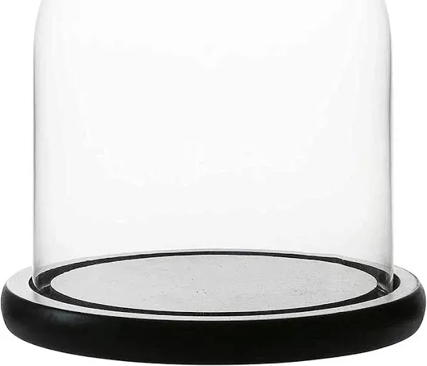 Whole Housewares Decorative Glass Dome Cloche Bell Jar Display