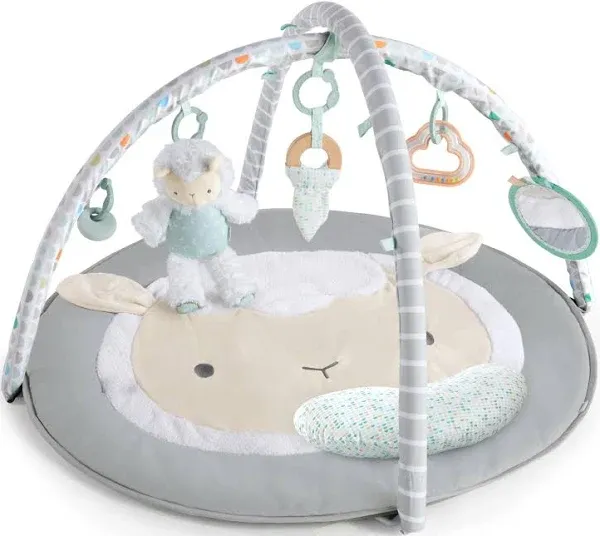 Ingenuity Spot Ultra Plush Baby Activity Gym and Tummy Time Mat, Corrie (Used)