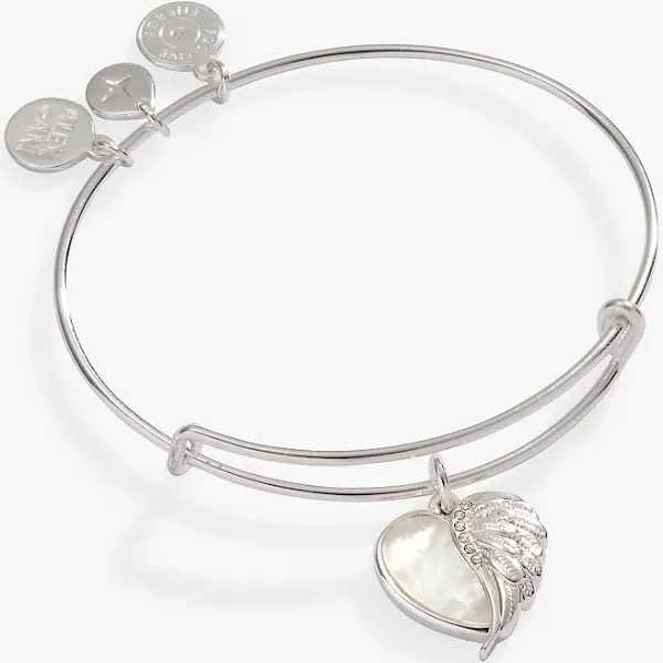 Alex and Ani Wings of Protection Charm Bangle