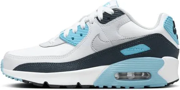 Air Max 90 (Big Kid)