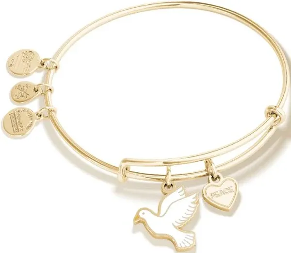 'Peace' Dove Duo Charm Bangle Bracelet