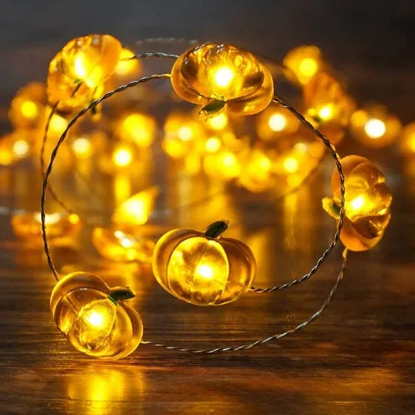 Bohon Pumpkin String Lights