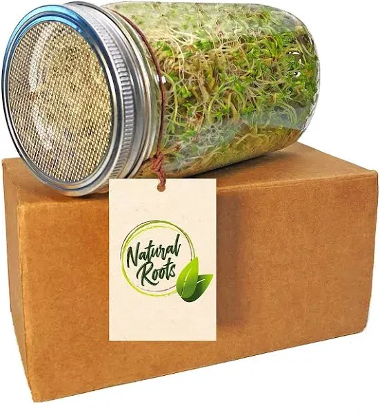 Natural Roots Sprouting Jar