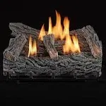 Duluth Forge 22-in 32000-BTU Dual Fuel Dual-Burner Gas Fireplace Logs with Thermostat in Brown | DLS-DF22T