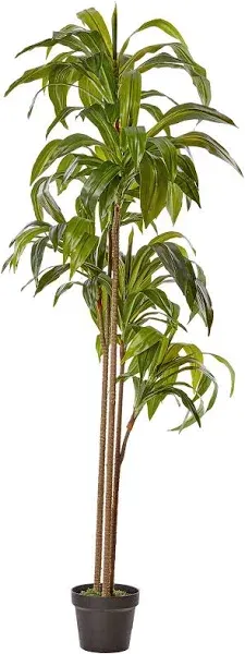 Nearly Natural Dracaena Silk Plant