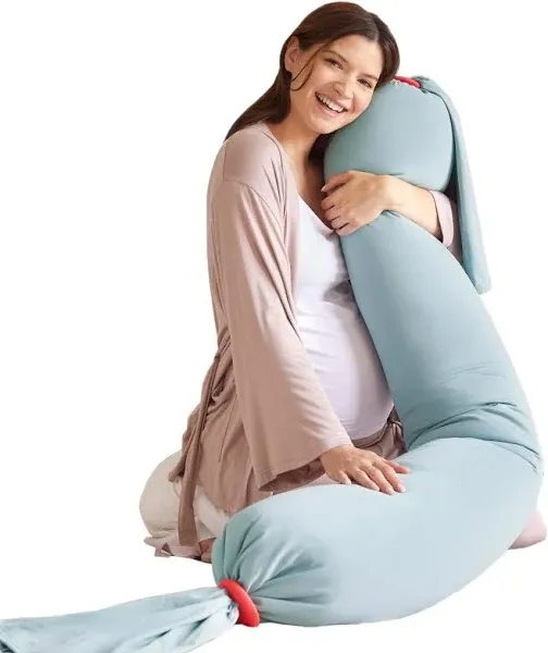 bbhugme Pregnancy Pillow