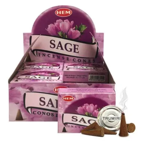 Sage Incense Cones And Cone Incense Burner Bundle Insence Insense Hem Incense