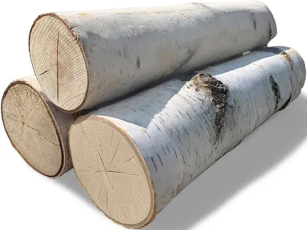 Wilson Set of 3 Large Birch Fireplace Logs (3.5" - 5.5" Diameter x 15.5”- 17.5" Long)