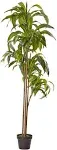 Nearly Natural 6 ft. Dracaena Silk Plant Real Touch