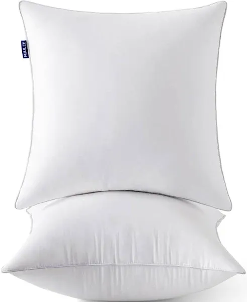 MIULEE 18 x 18 Pillow Inserts Set of 2