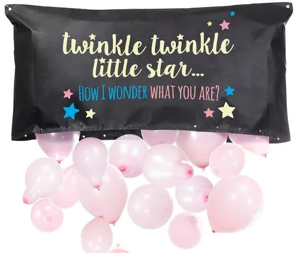 Pop Fizz Designs Gender Reveal Balloon Drop Bag