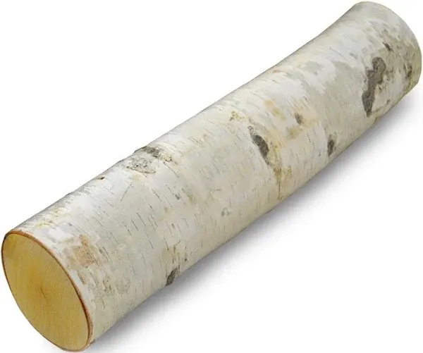 Wilson White Birch Fireplace Long Logs