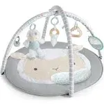 Ingenuity Sheppys Spot Plush Activity Gym - Corrie