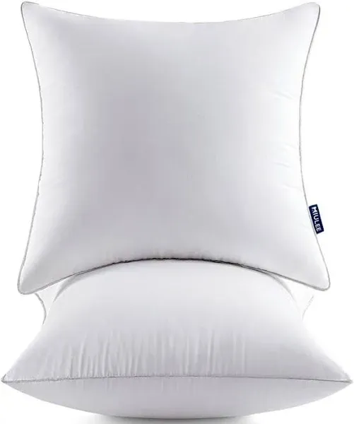  18 x 18 Pillow Inserts (Set of 2) -Throw Pillow Inserts 18x18 Inch (Pack of 2)