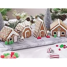 Fox Run 22- Piece Gingerbread House Village Set