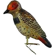 Old World Christmas Northern Flicker Glass Blown Ornament