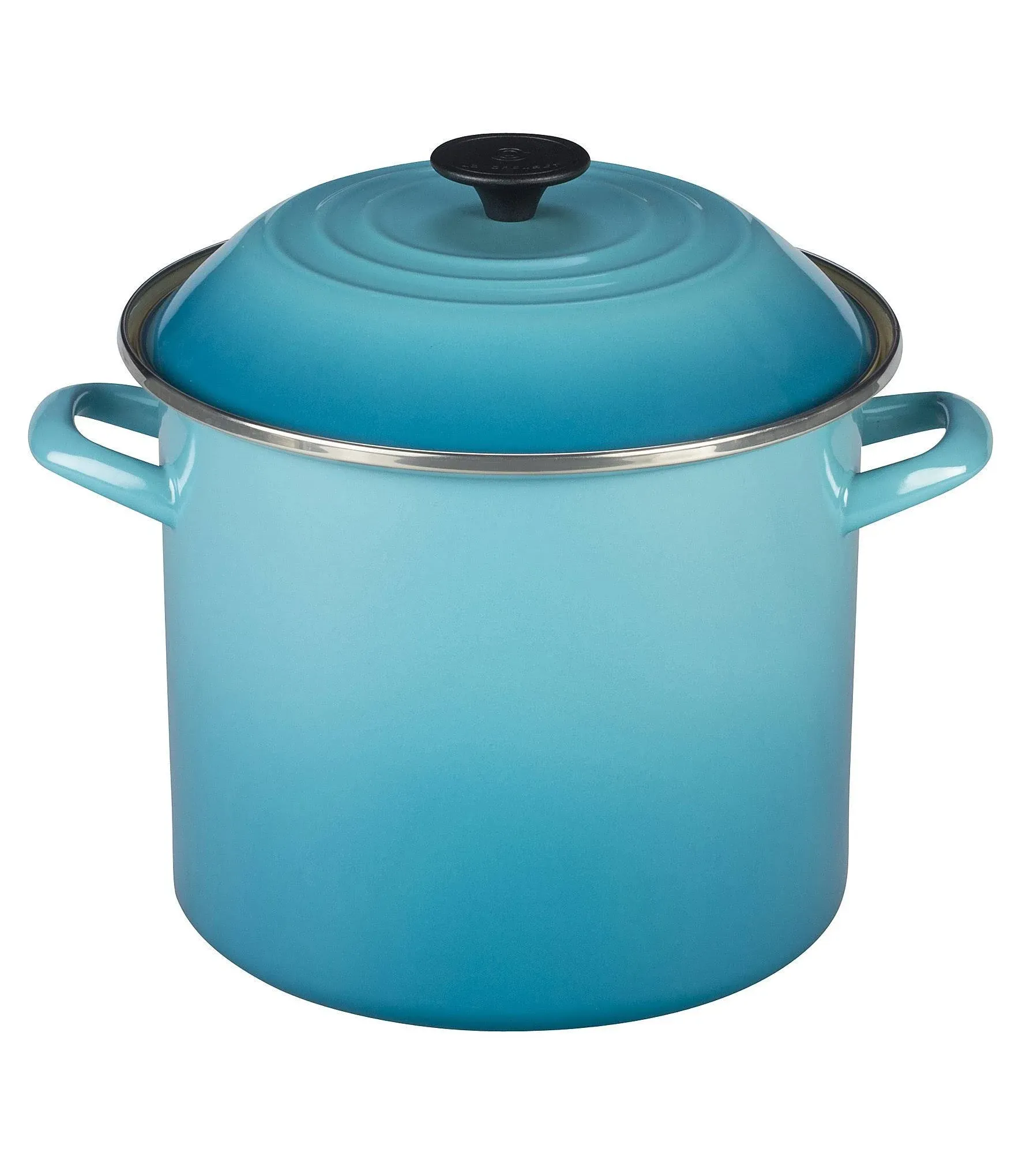 Le Creuset 10 qt. Enamel On Steel Stockpot (Caribbean)