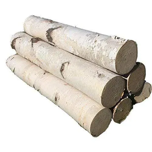 Northern Boughs White Birch Log Set for Fireplace