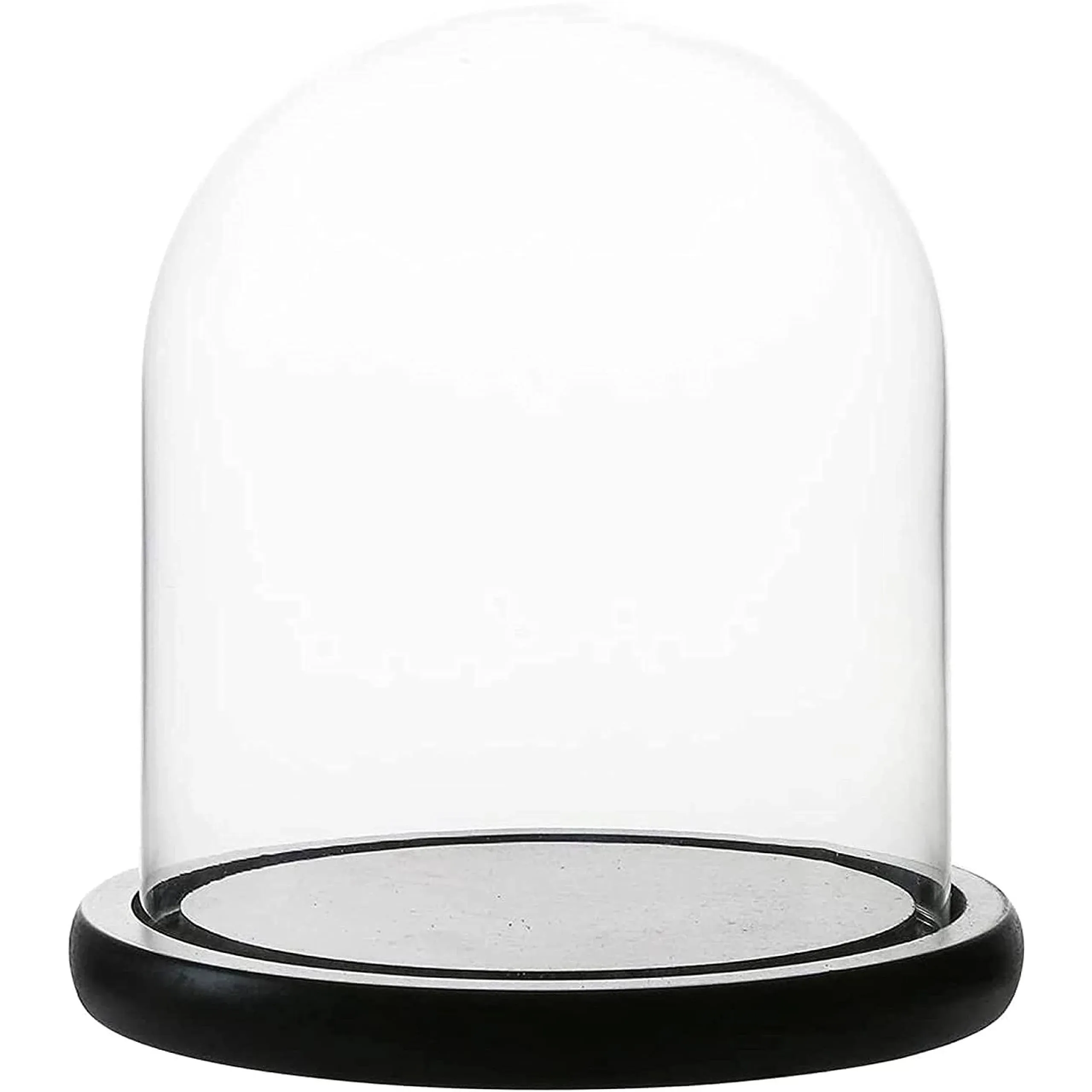 Decorative Clear Glass Dome | Centerpiece | Cloche Bell Jar Display Case